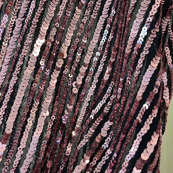 BARDOT Stripe Sequin Bellissa Dress in Multi Pink S NWOT Holiday Cocktail Semi - Picture 4 of 8
